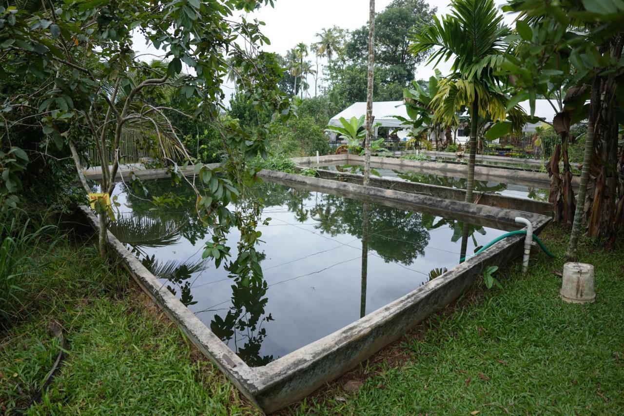Carmel Tourism Village Kotamangalam Zewnętrze zdjęcie