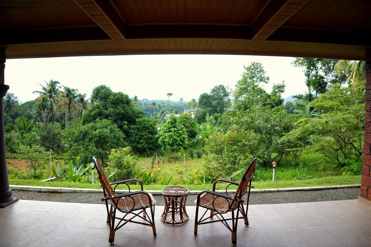 Carmel Tourism Village Kotamangalam Zewnętrze zdjęcie